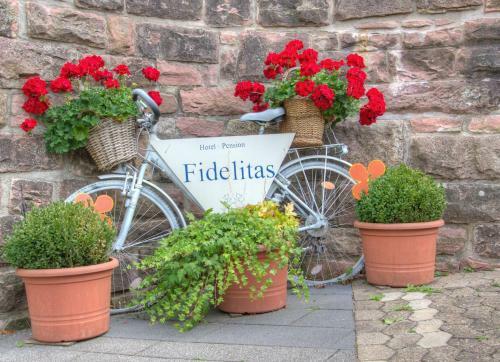Hostal Hotel Fidelitas