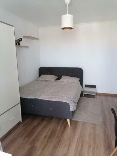 Apartament Carolina