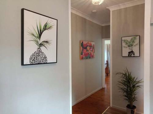 Hostal Moss Street Guesthouse