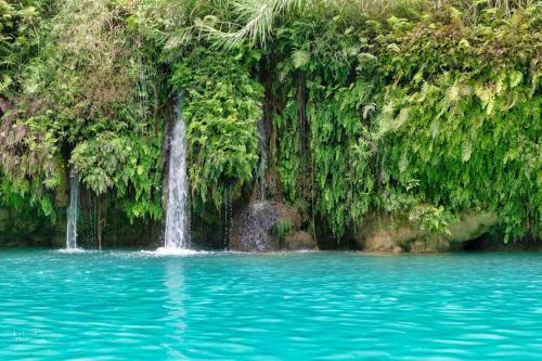 Villa Caf� Y Arte - Xilitla Rainforest Experience