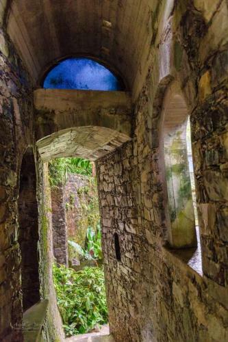 Villa Caf� Y Arte - Xilitla Rainforest Experience