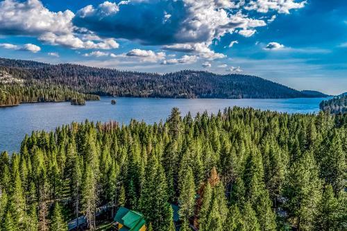 The Cabin On Kinglet
