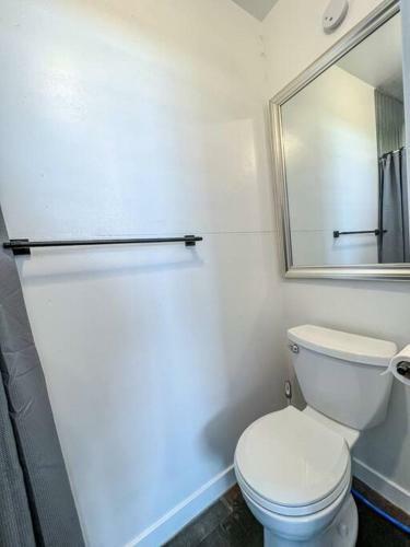 Villa Classy Double Tiny Home On 5 Wooded Acres!