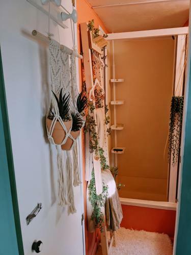 Mobil Home Boh�me Et Color�