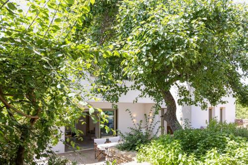 Villa The Ff House