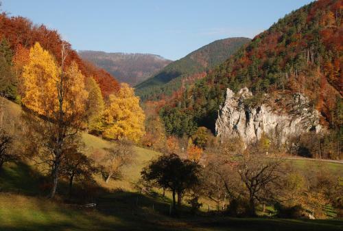 Hostal Gasthof Zur Bruthenne