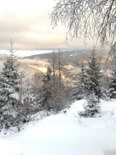 Hotel Tirol