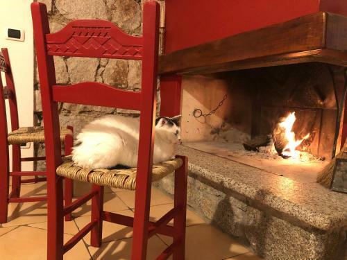 B&B Iradas Lanusei