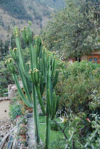 Posada Hostal Iskay