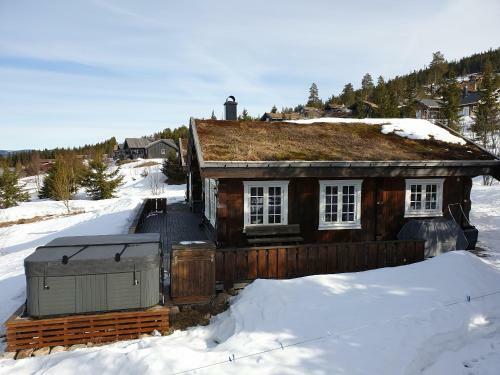 Reveenka - Cabin In Trysil With Jacuzzi For Rent
