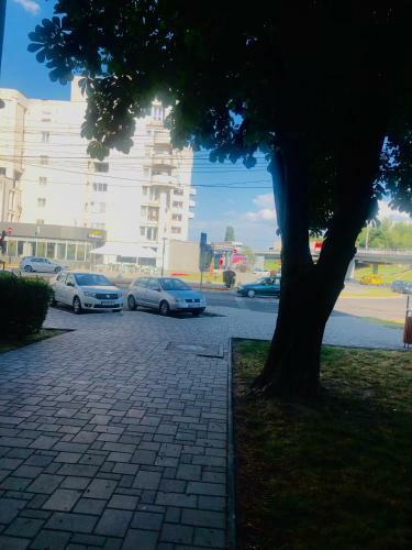 Central Apartment