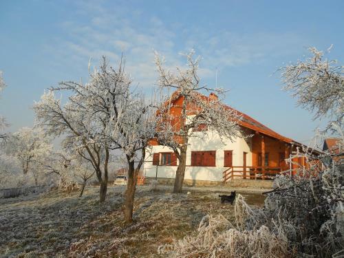 Hostal Eszter Guesthouse