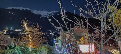 Mountain View Wooden Villa