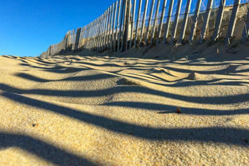 Rehoboth Beach -- The Crest #303