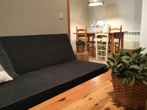 Apartaments Cal Borda