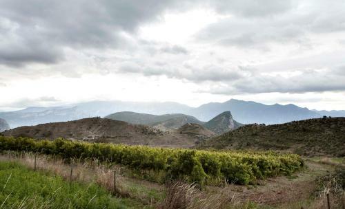 Apartaments Cal Borda