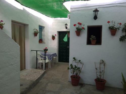 Bed & Breakfast Alojamiento C/ Magallanes Conil
