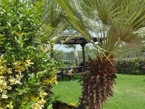 Apartamento Ouzouni Resort Boutique Bungalows