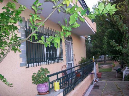 Villa Avlida House