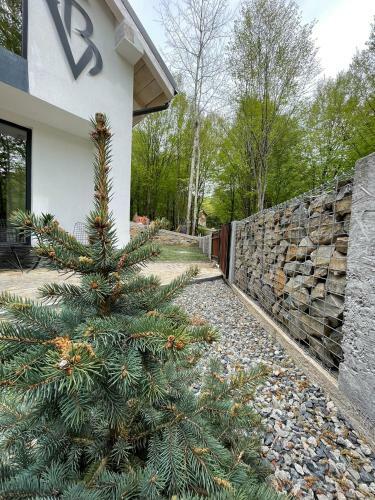 Villa Vila Blanc Valiug Crivaia