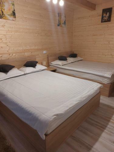 Lodge Cabana Rustica Georgeta