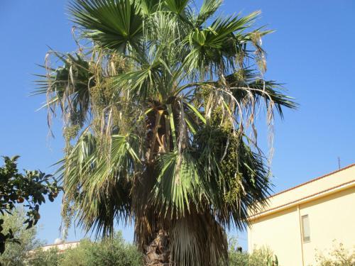 Bed & Breakfast Villa Violetta