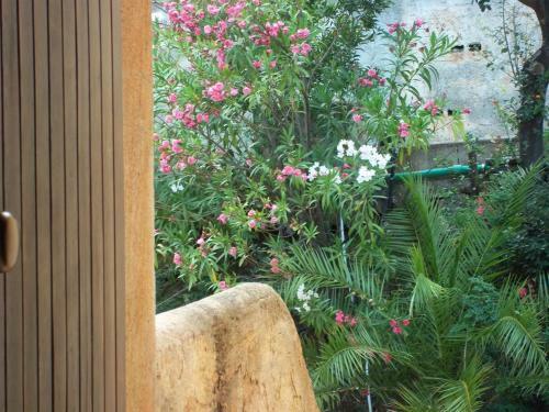 Apartamento Casa Marion