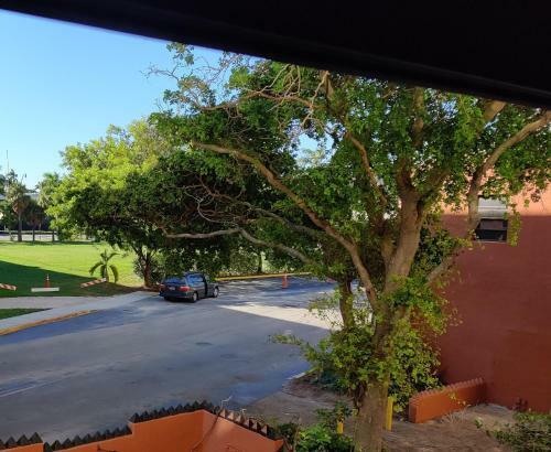 Apartamento Large Studio With Kitchen, 2 Beds, On The Beach