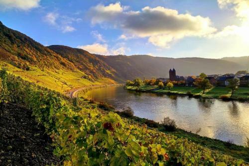 Apartamento Ferienweingut Gansen / Hochgenuss 1