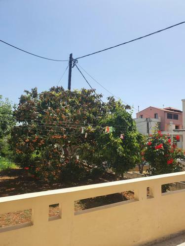 Bed & Breakfast Casa Portokali