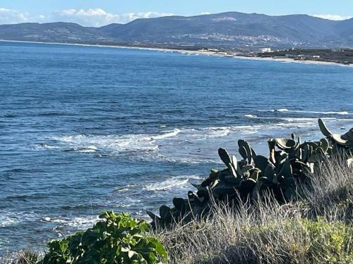 Apartamento Appartamento A 50 M. Dal Mare