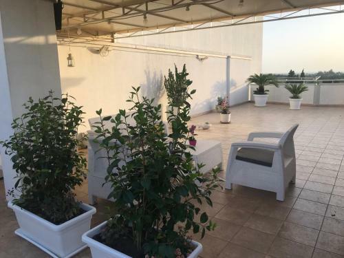 Apartamento ?relax Da Icama? Affitto Breve