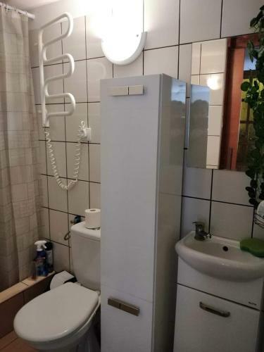 Rajski Zak?tek