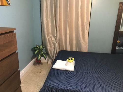 Hostal Cozy Guest House Florida