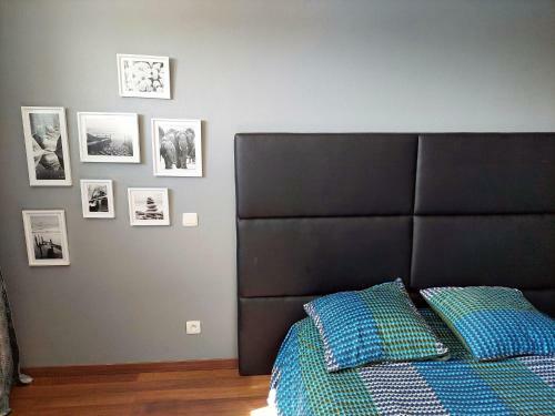 Comfortable Holiday Villa In Camaret Sur Mer