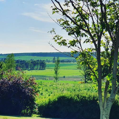 Hostal Bluebell Guest House