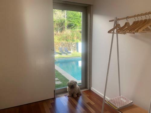 Villa Do Val Seixas - Piscina Privada
