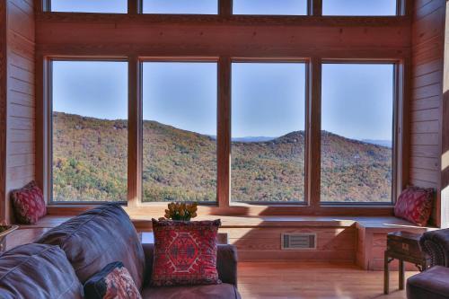 Lion's View