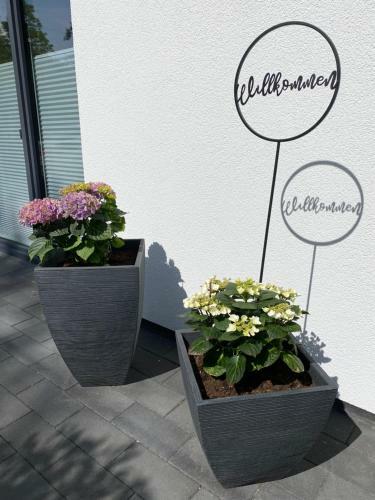 Apartamento Ferienwohnung Im Dhrontal