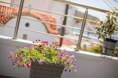 Haraki Blue Dream Luxury Apartments