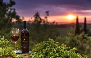 Villa Loggio Winery And Boutique Hotel