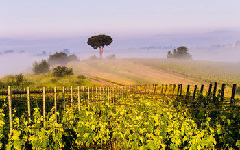 Villa Loggio Winery And Boutique Hotel
