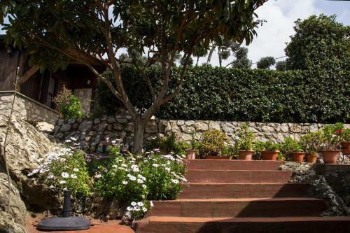 Villa Ida Bed & Breakfast