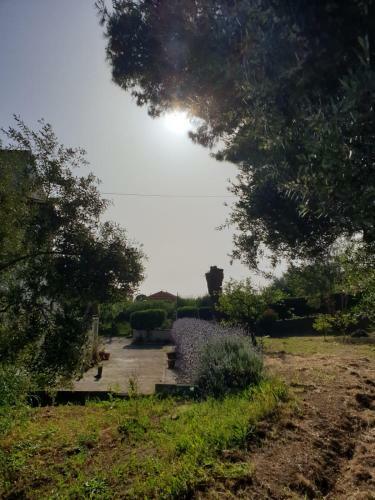 Apartamento Pelagia's Place