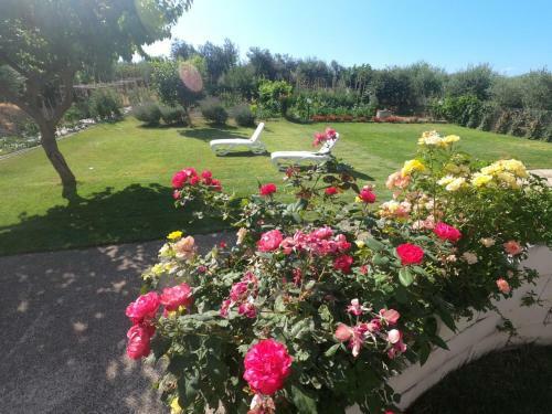 Immaculate 4-bed Villa In Giuliano Teatino