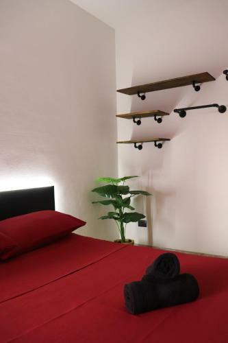 Apartamento 2nd Floor - Holiday House