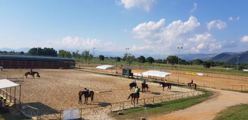 Agroturismo Il Ritrovo Del Cavaliere