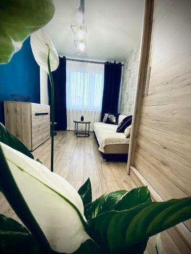 Apartament Kr�la