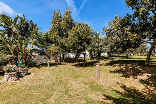 Hostal Appartamenti Bosco 33