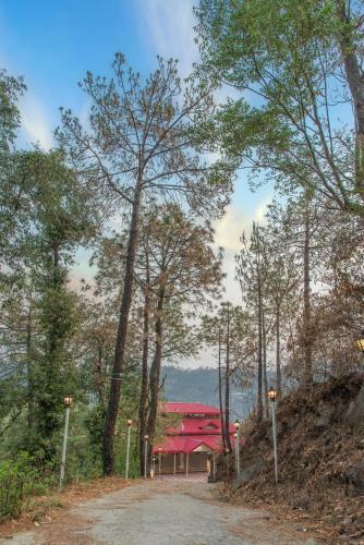 Pine Dream Resort L Kasauli L Barog